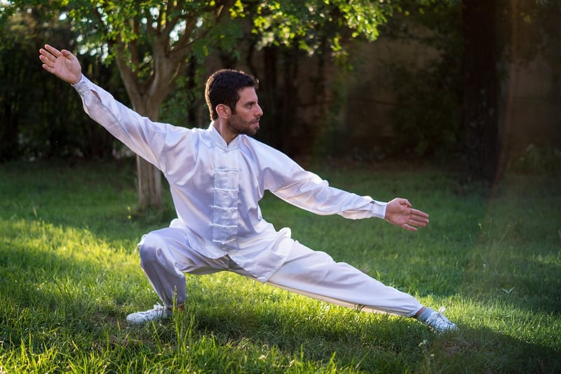 Yang Style Tai Chi Chuan